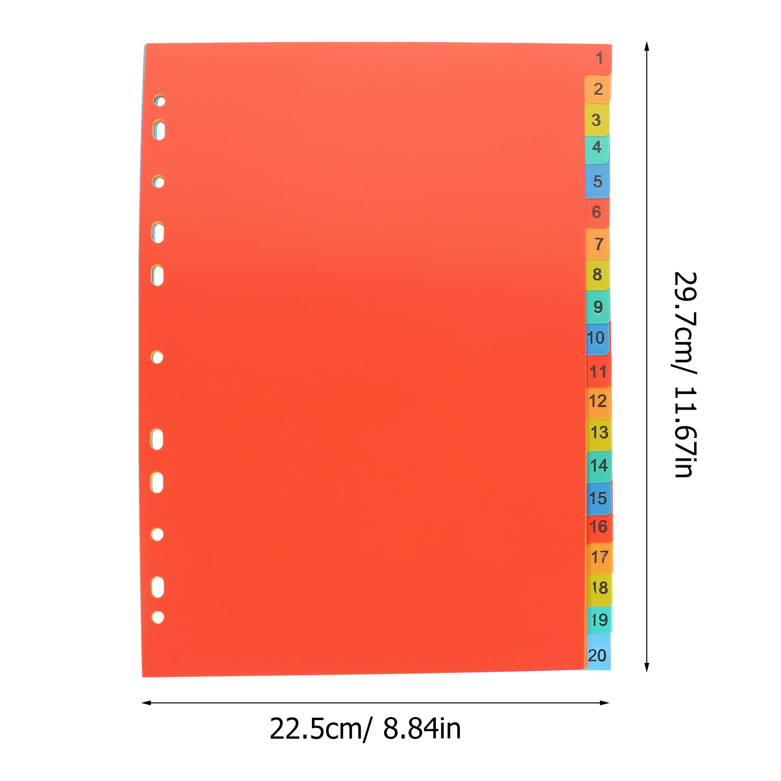 20 Sheets A4 Index Divider Pla - Tab Divider A4 ulasan dan harga